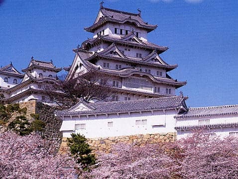 入校特典として世界遺産「姫路城」へご招待!