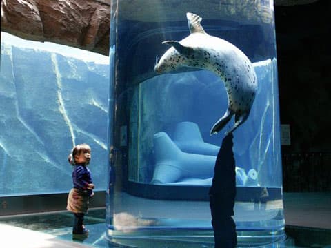 入校特典として、日帰りツアーで旭山動物園へGO!