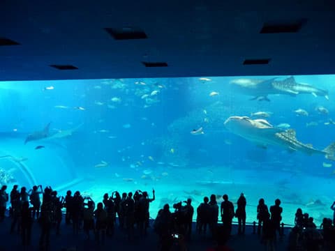 「美ら海水館」は圧巻の美しさ…!